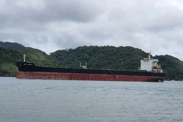 Navio graneleiro com destino ao Brasil atravessa Estreito de Ormuz