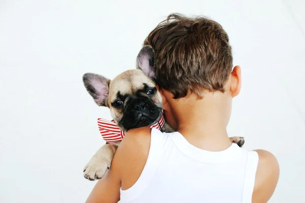 criança de costas com cachorro buldogue francês no colo