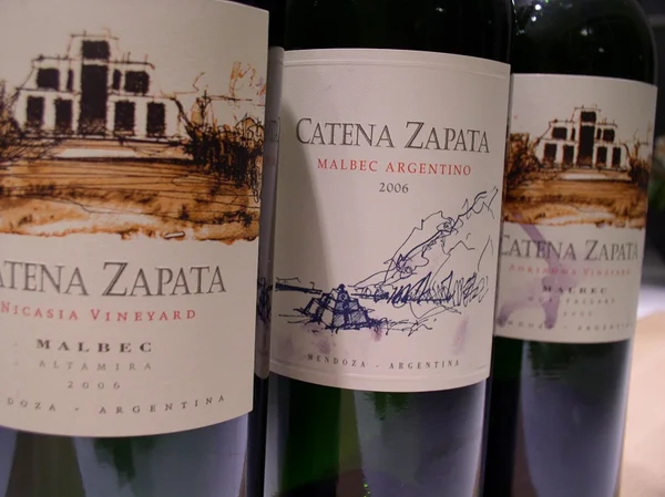 Chef Paulo Tarso leva grupo para tour por vinícolas de Mendoza, Argentina