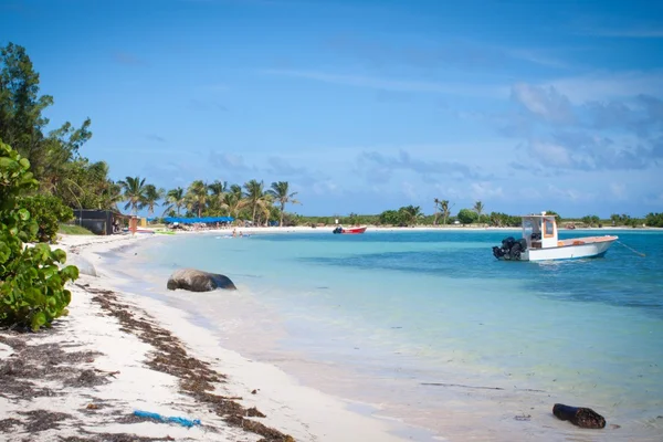 Aruba