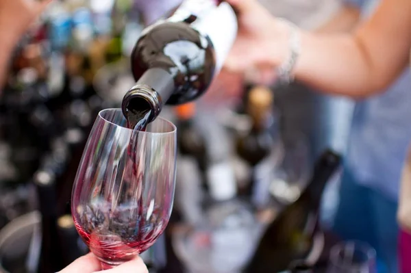 Selecionamos bons vinhos com preços de R$ 36 a R$ 70