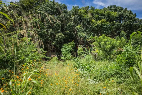 Governo exclui sociedade civil do Fundo Nacional do Meio Ambiente