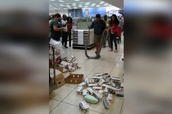 Cliente vai pegar iogurte em mercado e acha cobra de 3,5 metros