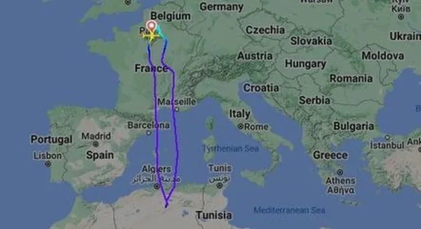 Piloto da Air France declara emergência e volta a Paris após comissários encontrarem rato a bordo
