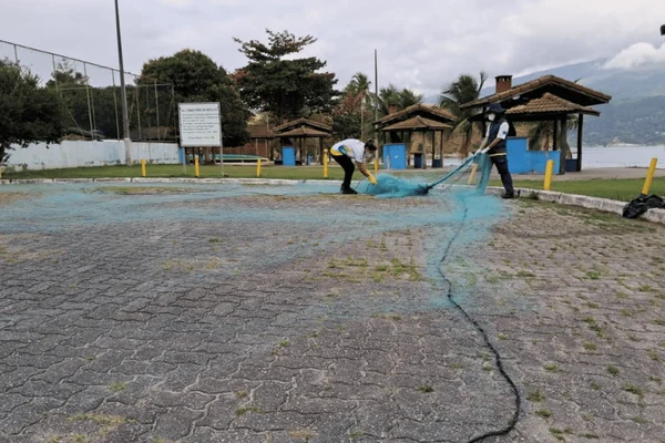 Golfinho pseudorca é encontrada morta próxima à costa em Ilhabela - destaque galeria Golfinho pseudorca é encontrada morta próxima à costa em Ilhabela - destaque galeria