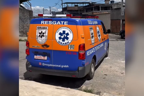 Samuvet em BH teve 40 chamados em 24h; animais de rua têm prioridade
