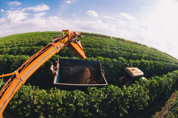 Fazenda brasileira.