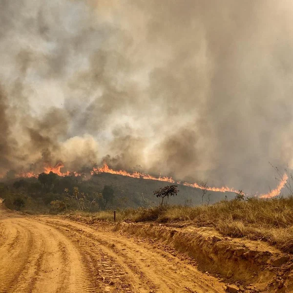 Parque do Juquery será reaberto neste sábado (18/9) após incêndio