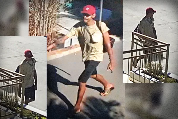 Polícia pede ajuda para identificar ladrão de túmulos em cemitério