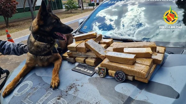 Cão da PM descobre drogas em mala na Rodoviária Interestadual