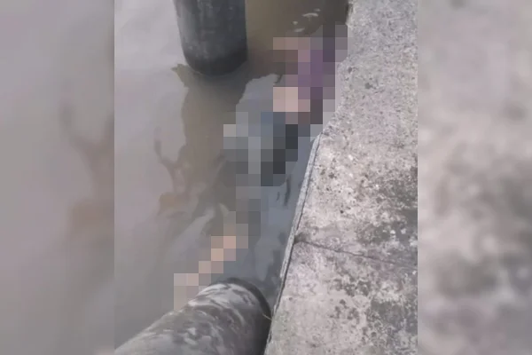 Imagem colorida,PA: adolescente desaparecida é achada morta em terminal hidroviário- Metrópoles