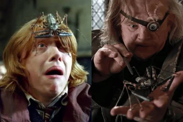 Animal que aparece em Harry Potter pode ser encontrado no Brasil
