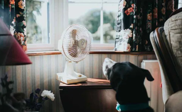 Ventilador na sala