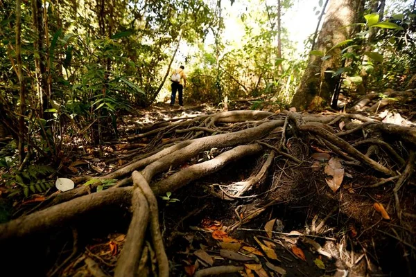 PM encontra adolescentes que estavam perdidos na cachoeira do Tororó
