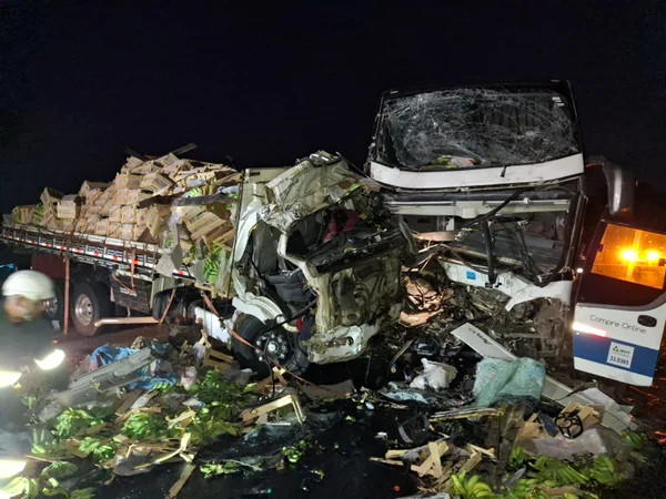 Batida entre ônibus e caminhão mata dois motoristas na BR-116, em Muriaé