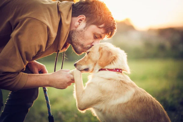 Imagem colorida de tutor beijando a cabeça do cachorro