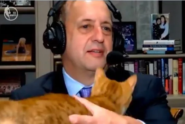 Gato invade transmissão na NBA