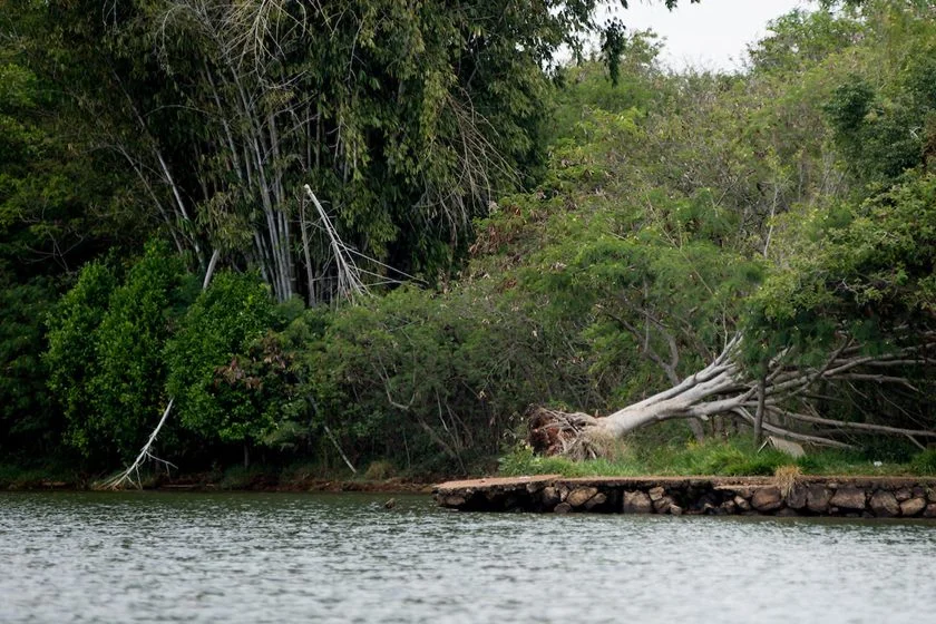 Áreas que não passaram por desobstrução também carecem de melhorias no Lago Norte Áreas que não passaram por desobstrução também carecem de melhorias no Lago Norte