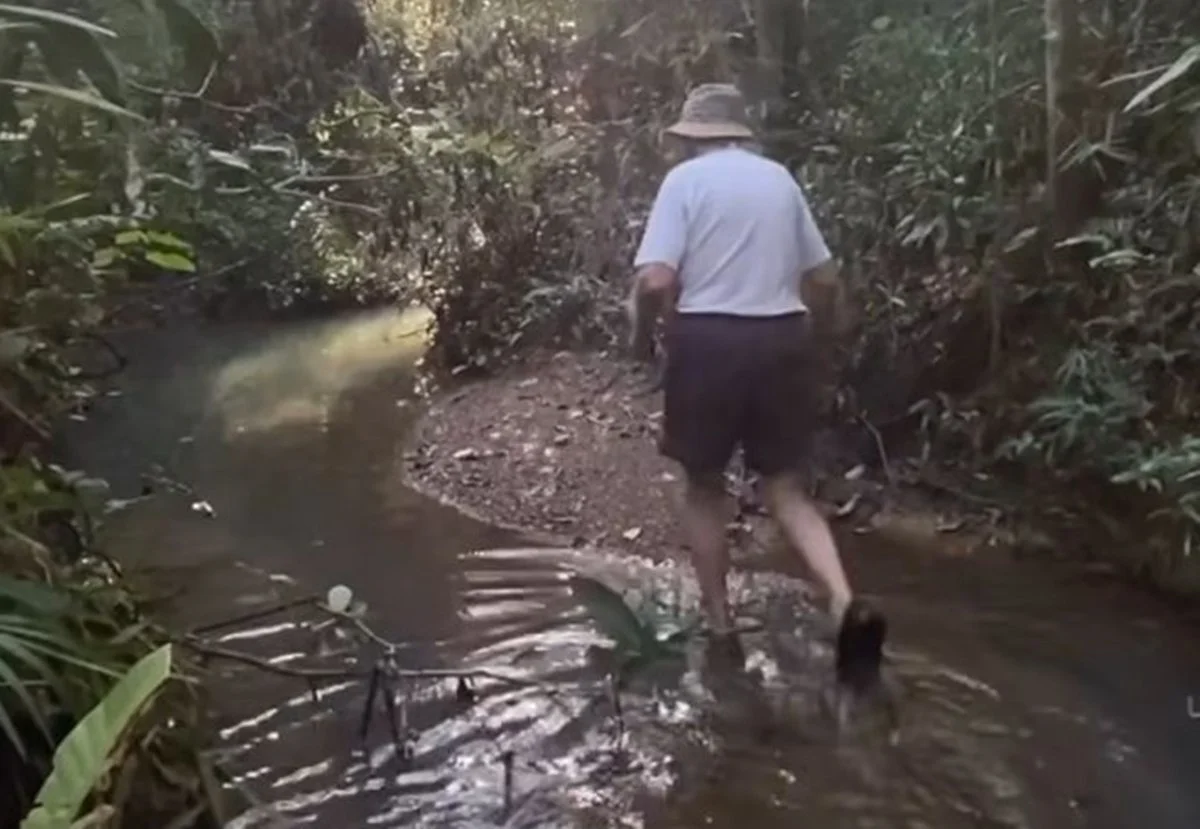 Eug&ecirc;nio na revitaliza&ccedil;&atilde;o do Cerrado