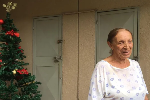 Moradora sobre furto de árvore de Natal: “Que mundo é este?”