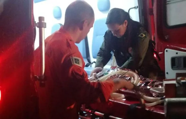 Criança de um ano cai em piscina no Gama e é resgatada por bombeiros
