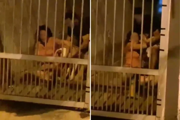 Em Peruíbe, no litoral de SP, um homem foi preso em flagrante após arrastar mulher pelos cabelos. Homem que passava na rua gravou a cena - Metrópoles