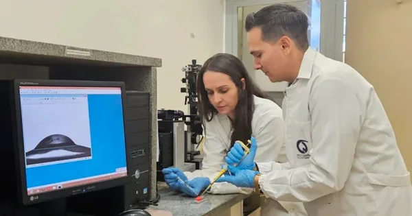 USP cria implante derivado de algas para tratamento de doenças ósseas