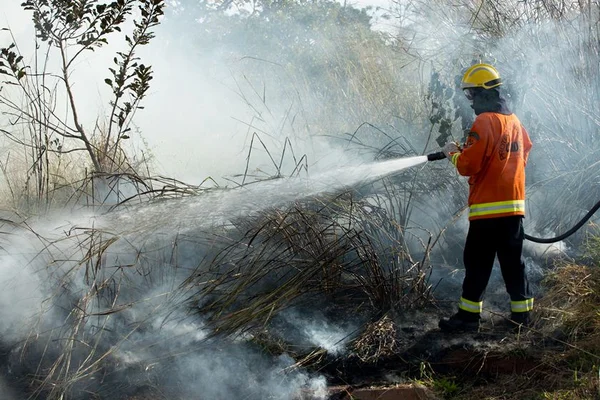 Bombeiros mudam edital e dispensam comprovação de virgindade