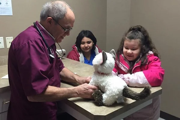 Para ajudar menina autista, médico examina gato de pelúcia “doente”