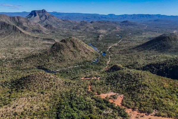 Foto do cerrado em período de cheia.