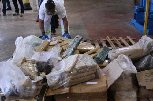 Polícia Civil incinera 905 quilos de drogas