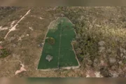Esta é a quinta fazenda com plantio de maconha localizado pelas forças de segurança durante as investigações