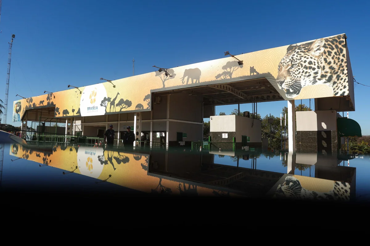 Zoológico de Brasília estará fechado ao público no domingo de eleições