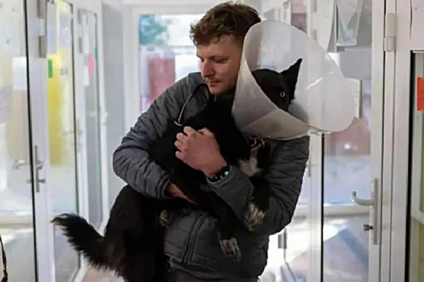 na foto vemos um homem abraço em um cachorro com colar elizabetano