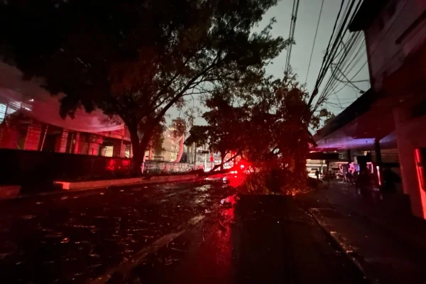 Na capital paulista, ao menos 63 mil clientes estão sem energia elétrica na manhã desta quinta. Temporal causou a queda de 217 árvores - Metrópoles