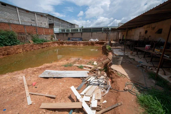 Lote da dengue: área alagada em Águas Claras vira criadouro do Aedes