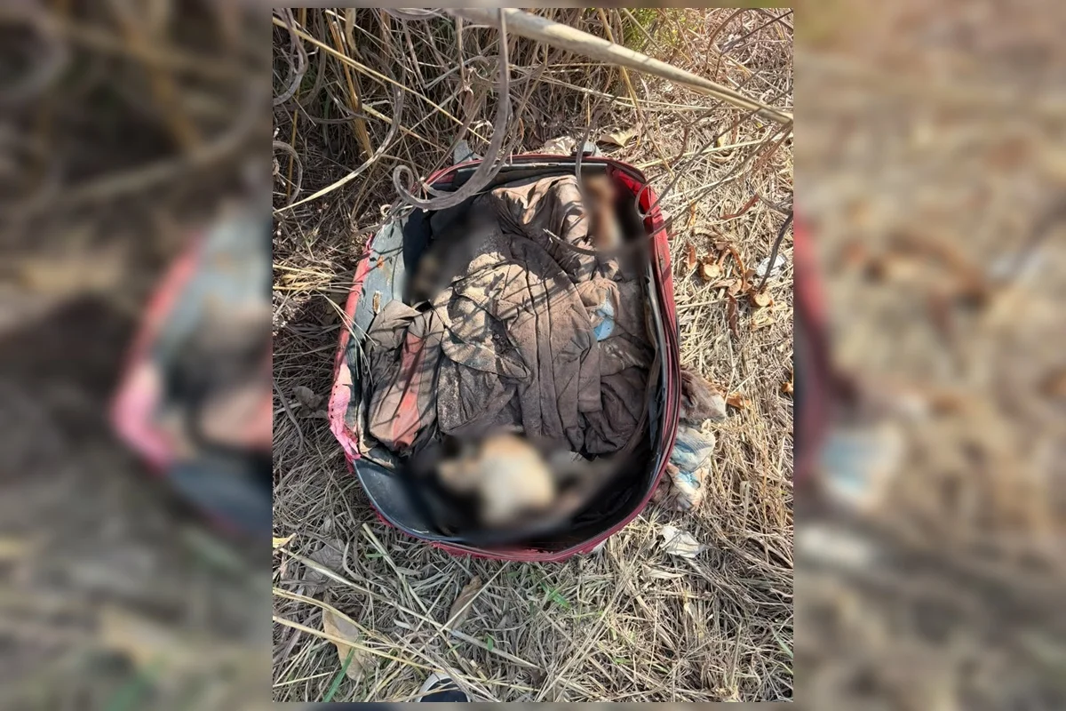 Polícia busca identificar de quem é a ossada humana em mala Polícia busca identificar de quem é a ossada humana em mala