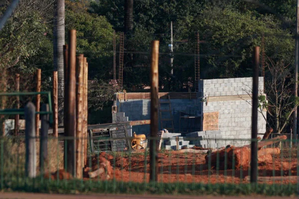Zoo de Brasília se prepara para receber girafas traficadas pelo BioParque - destaque galeria