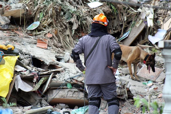 Morre menino de 7 anos que ficou soterrado durante chuva em SP