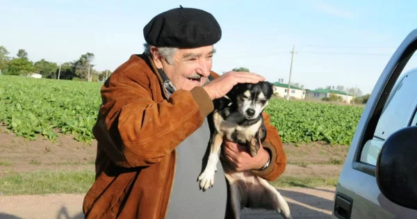 Foto colorida mostra Pepe Mujica e a cadela Manuela - Metrópoles