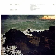 <b>"Crack-Up"</b>, de Fleet Foxes. Os barbudinhos de Seattle precisaram de apenas dois álbuns (sobretudo "Helplessness Blues", de 2011) para fazer da Fleet Foxes talvez a melhor banda de folk da música contemporânea. Após seis anos sem disco de inéditas (e três de hiato), o quinteto se entrega às orquestrações e emplaca grandes canções, como "Fool's Errand" e "Kept Woman". <a href="https://open.spotify.com/album/0xtTojp4zfartyGtbFKN3v" target="_blank">Ouça</a>