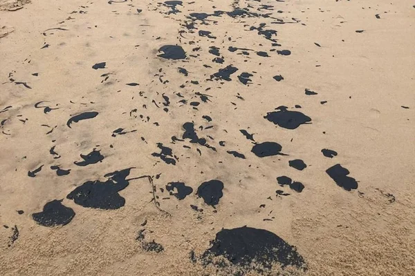 Ibama cobra explicações da Shell sobre barris no Nordeste