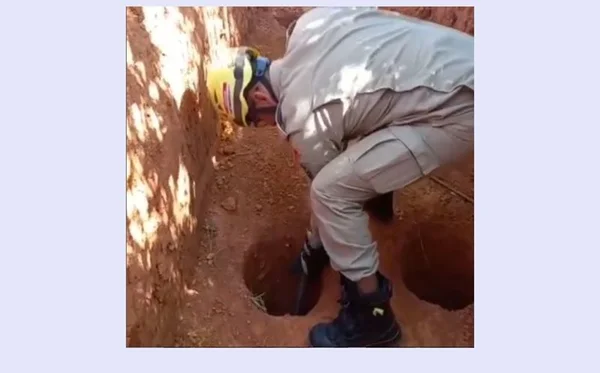 Vídeo. Cãozinho é resgatado após cair em buraco de obra em GO