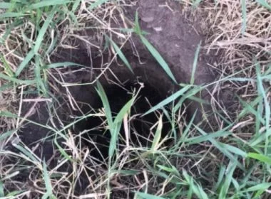 Criança é encontrada viva após passar 2 dias dentro de buraco na Bahia