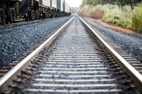 O custo humano da Ferrogrão, pensada para ligar o Mato Grosso ao Pará