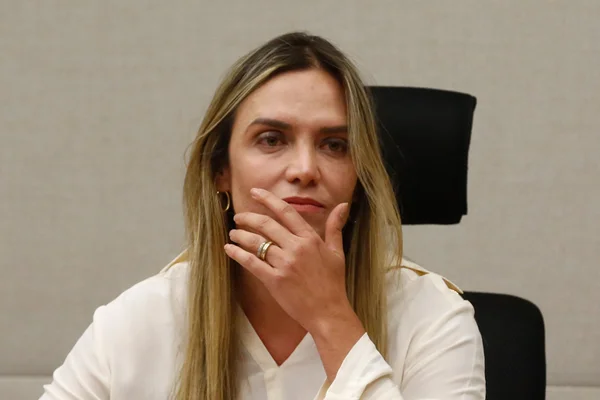 STJ recebe documentos pedidos por ministro que julga recurso de Celina