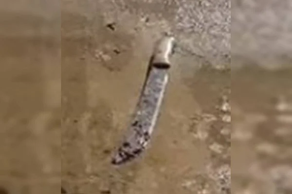 Facão usado no crime do policial penal morto no Riacho Fundo
