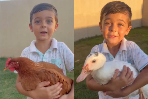 Foto colorida de um menino segurando animais - Metrópoles