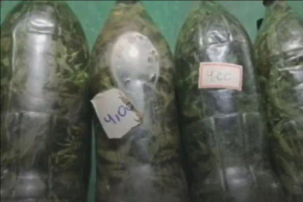 Foto colorida de cachaça com maconha - Metrópoles