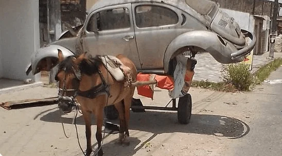 Crueldade: animal é visto carregando fusca em carroça